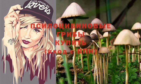 ПСИЛОЦИБИНОВЫЕ ГРИБЫ Лиски
