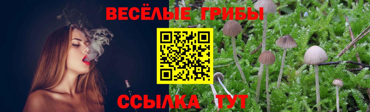 Псилоцибиновые грибы Psilocybine cubensis Каспийск