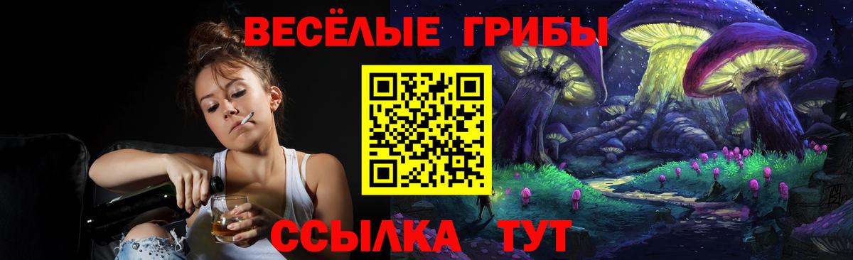 Псилоцибиновые грибы MAGIC MUSHROOMS  Вход с VPN  Каспийск  Галлюциногенные грибы Psilocybine cubensis 