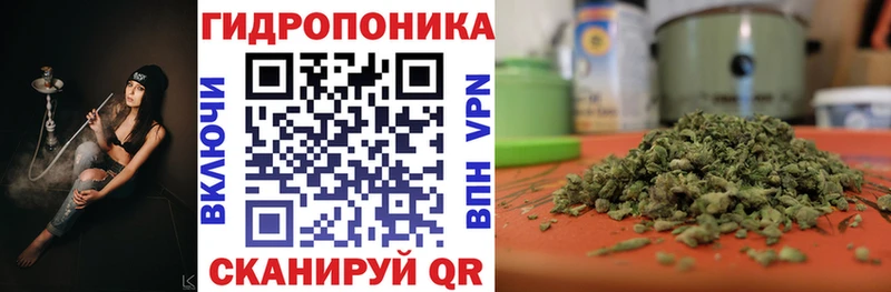 Каннабис MAZAR  Каспийск 